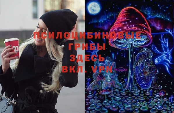 твердый Алзамай