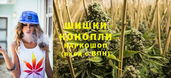 ГАЛЛЮЦИНОГЕННЫЕ ГРИБЫ Алексин