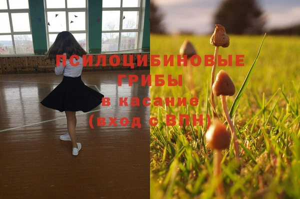 ГАЛЛЮЦИНОГЕННЫЕ ГРИБЫ Алексин