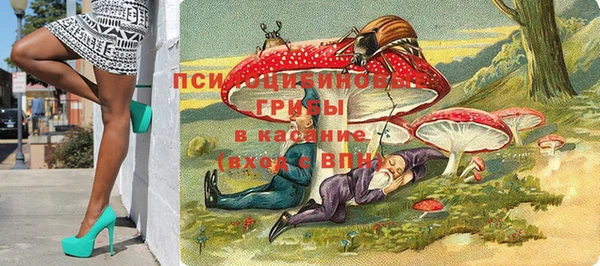 ГАЛЛЮЦИНОГЕННЫЕ ГРИБЫ Алексин