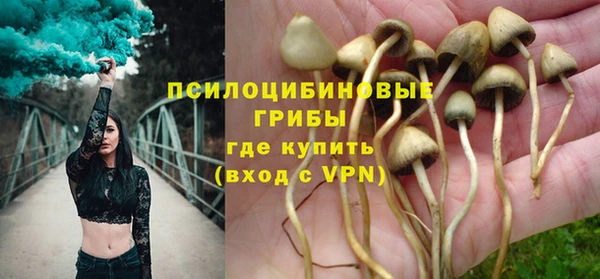 твердый Алзамай