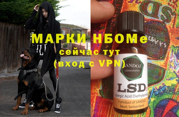 твердый Алзамай